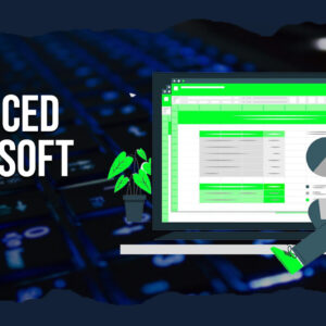 Advanced Microsoft Excel | Vertiskills
